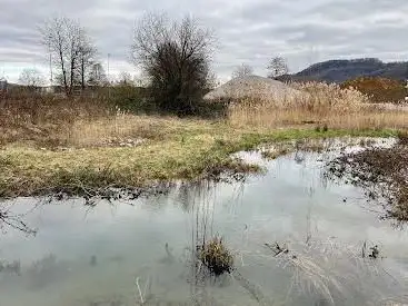 Photo de Biotop und Naturschutzgebiet