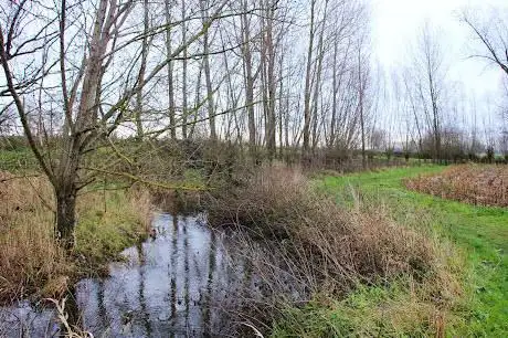 Driebekenroute Bazel