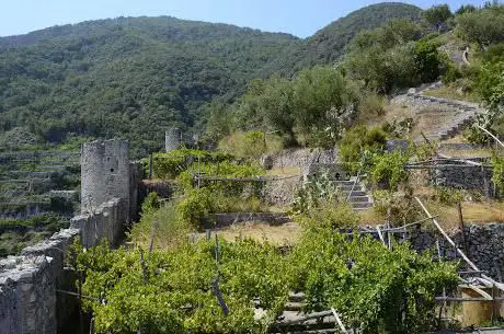 Photo de Castello di San Nicola de Thoro-Plano