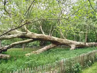 Frédéric Passy Environmental Park