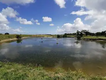 Photo de Etangs du Moana