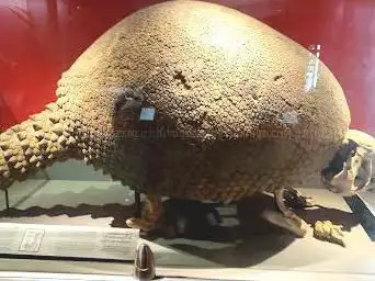 Natural History Museum
