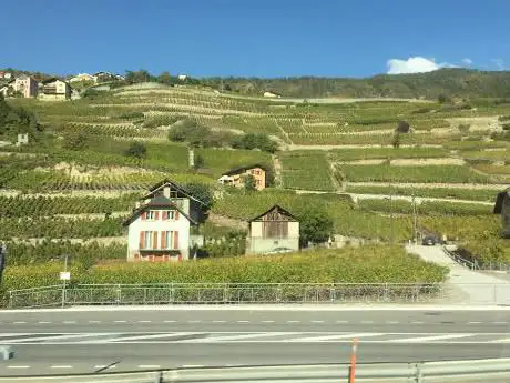 Photo de Maison Bourgeoisiale de Granges