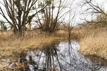Sentier Pédagogique du Marais du Grand Saulcy