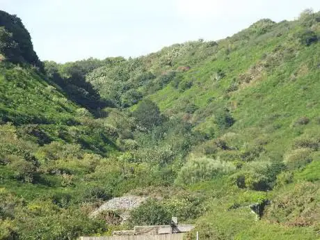 Jerricho Valley