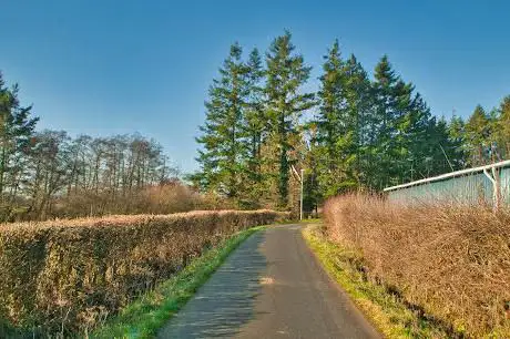 Chemin de la Haie des veaux