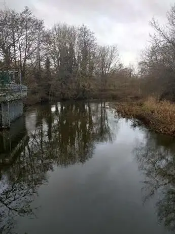 Photo de Mile Cross Marsh