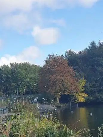 Photo de Ladymoor Pool