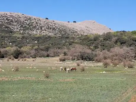 Photo de Polje de la Nava