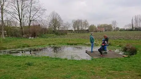 Fiftavijver