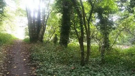 Photo de Hillcrest Wood