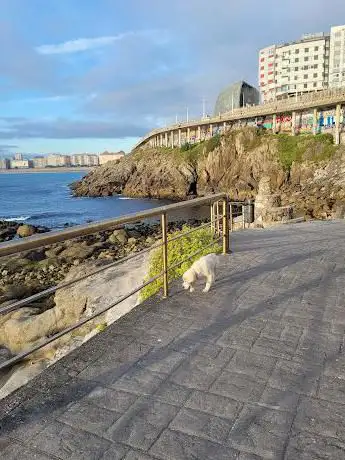 Photo de Plage des Amorosas