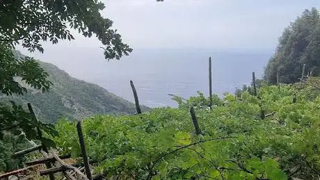 Photo de Grotte di Santa Barbara