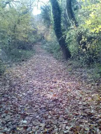 Photo de Jugg Hill Park