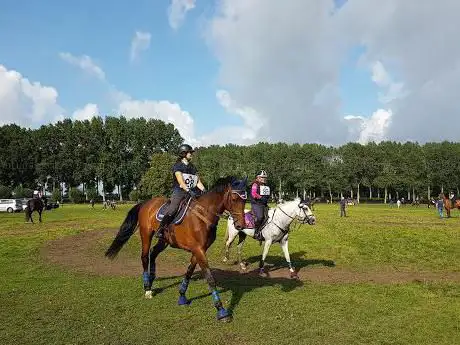 De Blauwe Zaal