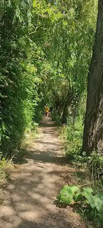 Arboretum Koutiala