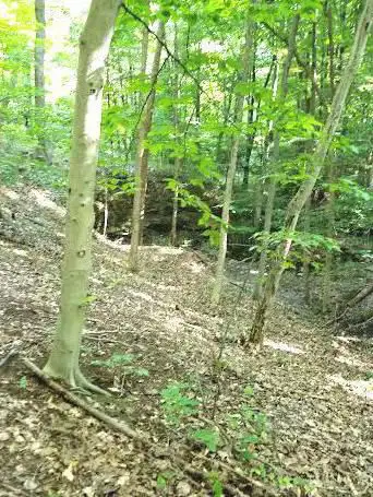 Photo de Sawmill Creek Preserve