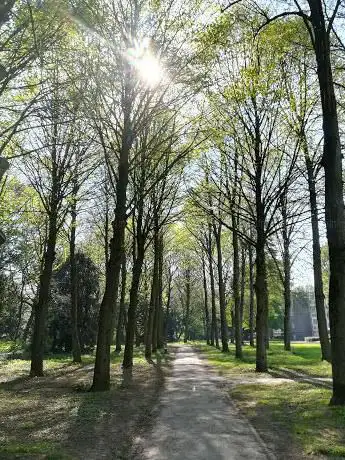 Photo de Viegenpark
