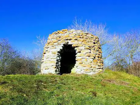 Chafer Wood