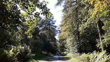 Photo de Bois du Grand Frechy