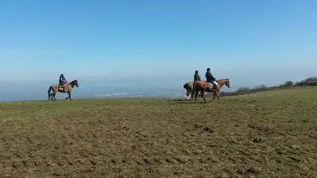 Photo de Noverton Farm