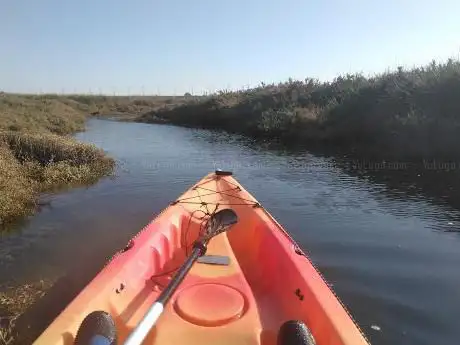 Photo de Club Deportivo Piragüismo Tartessos Huelva