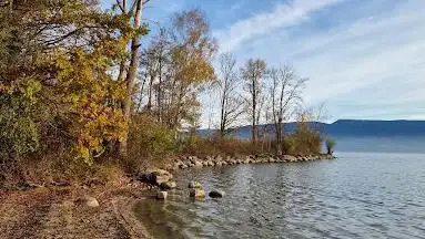 La plage au castor