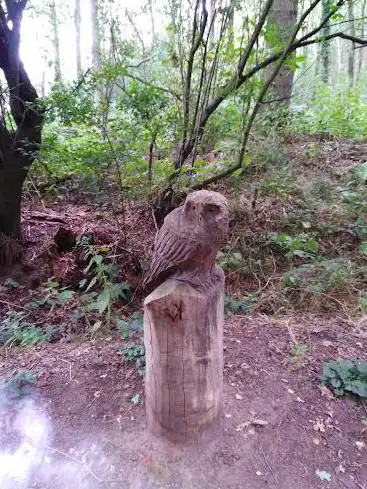 Kinderboerderij De Pluimhoeve