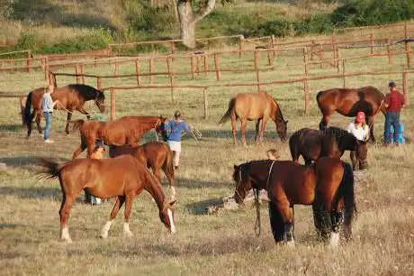 Photo de AsvaNara