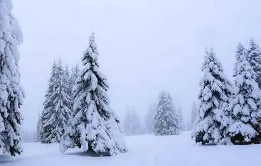 Montagne du Droit