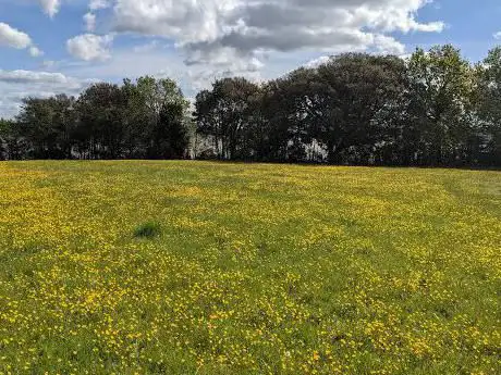 Lympstone Fields