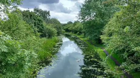 Bentley Haye Local Nature Reserve