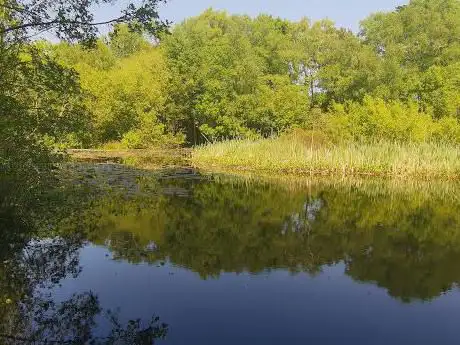 Forest Front Nature Reserve