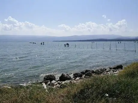 Photo de Lago di Varano