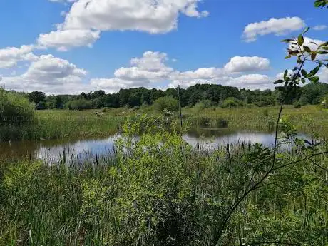 Ipsley Alders Marsh Nature Reserve