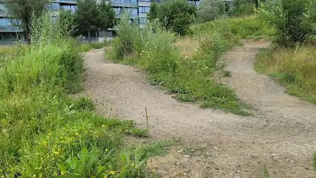 Photo de Pumptrack Weissenstein
