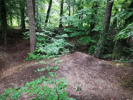 Dirtjump Spreitenbach