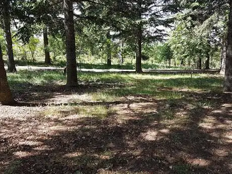 Photo de Vivaio Piano Noce Corpo Forestale