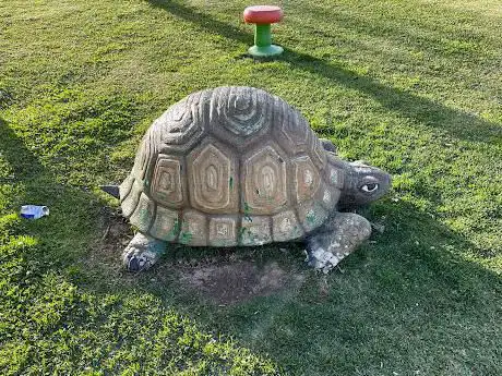Tortuga