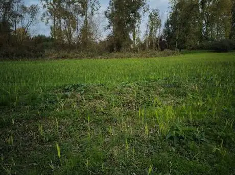 Natuurreservaat Moenebroek