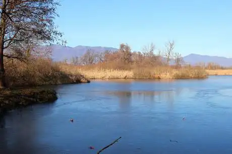 Photo de Punto Di Osservazione Palude Brabbia