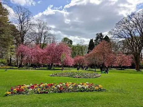 The Town Gardens
