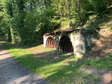 Bois de la Gruerie