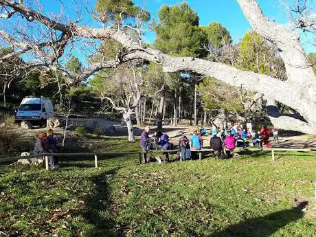 Photo de Area recreativa Font de Mariola