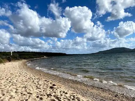Pineda de la Badia de les Nimfes (Pineta)