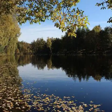 Photo de Lochanhully