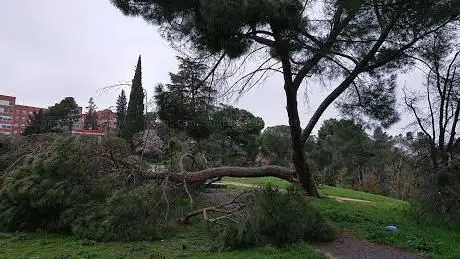 Photo de Jaime del Amo Park
