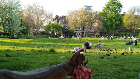 Photo de Waterloo Millennium Green