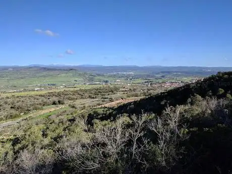 Complesso Forestale di Monte Simudis
