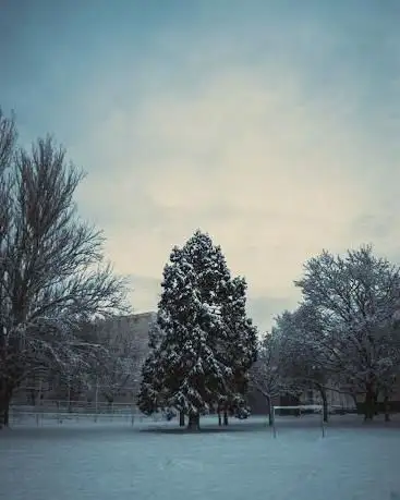 Photo de Square Jaroslav Hasek